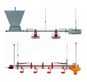 automatic poultry chicken feeders and drinkers line for poultry feeding management equipment