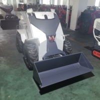 Mini Caricatore Frontale Compatto a Batteria Economico per Agricoltura in Vendita