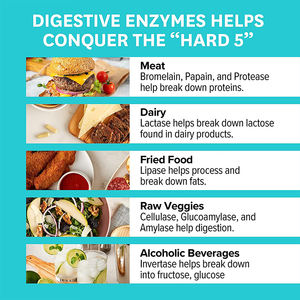 Nouveauté : Complément d'enzymes digestives pour la santé digestive – Gélules d'enzymes digestives - Product Image 4