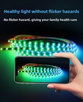 Bande LED RGB adressable ultra-étroite de 2,7 mm, programmable, effet eau courante, 5V 12V, dimmable, pour hôtels et divertissements