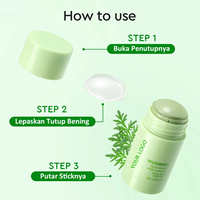 Stick de masque d'argile anti-acné à l'acide salicylique et à l'armoise, marque privée, purifie les pores, apaise les éruptions cutanées actives