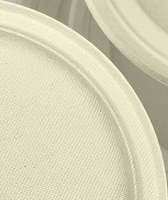 Assiettes compostables en bagasse de canne à sucre naturelle de 10 pouces |   Rond |   Nature blanche à Atlanta en stock