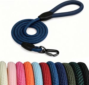 Laisse pour chien de luxe en sangle de nylon robuste personnalisée, laisse de service pour animaux de compagnie en polyester, corde de créateur colorée pour chien - Product Image 1