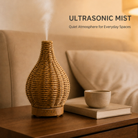 Diffuseur d'arômes tressé de 100 ml avec fonction minuterie, parfum d'ambiance décoratif pour la maison, vente en gros, fournisseur direct d'usine OEM ODM