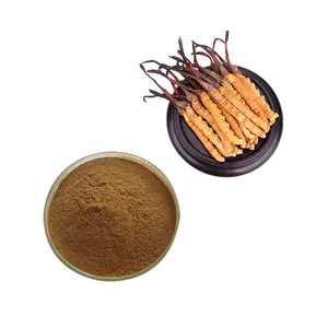 Mushrooms Extract Powder Cordyceps Militaris Extract Organic For Immune System Booster Supplements