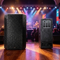 Haut-parleur PA professionnel personnalisé de 15 pouces avec DSP de classe D, 500 W RMS, enceinte en plastique pour conférences, bars et spectacles en direct en extérieur