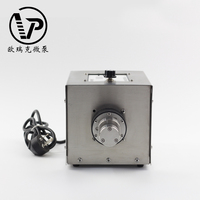 Bomba de Engranajes Mini de Acero Inoxidable de Grado Alimenticio 24V con Motor Electromagnético para Bajas Presiones de Líquido en la Industria Automotriz Orient MG200XBWBS