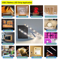 Offre d'usine bande lumineuse led alimentée par batterie avec batterie 5v lumières de couleur chaude blanche