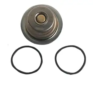 Factory Directly Order Cummins 6CTA8.3-215 Diesel Engine Spare Parts Thermostat 3940632 4930594