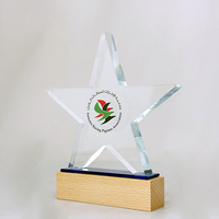 Trophée étoile en cristal avec base en bois, logo gravé sur mesure, plaque en cristal pour les cadeaux souvenirs d'entreprise, de sport et de championnats