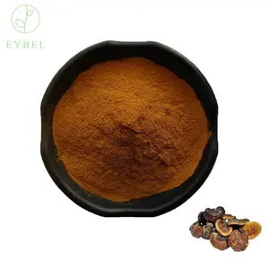 100 Pure Bulk Hot Sale Cas Factory Supplier Powder Reishi Mushroom Extract Polysaccharides 60% Reishi Mushroom Extract