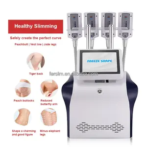 Farslim Keuze Cryo Platen Ems Rf Cold Pad Body Sculpting Spierstimulatie 4 Plates Cryo Afslankvet Vriesmachine