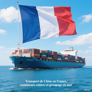 Envío marítimo internacional puerta a puerta FCL desde Qingdao y Shanghái a Chipre Limassol Larnaca Servicio de logística - Product Image 2