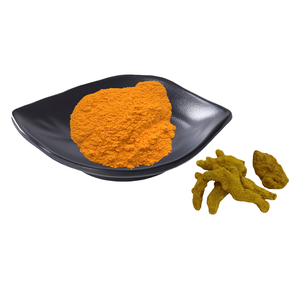 Extrait de curcuma Curcumine naturelle 95% 98% Fabricant personnalisé en gros - Product Image 1