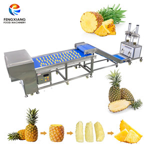 สายการผลิตสับปะรด 0.5-1 ตัน/ชม. เครื่องคว้านเมล็ด ปอกเปลือก และตัดสับปะรดเป็นชิ้น เครื่องหั่นสับปะรดเป็นชิ้น - Product Image 1