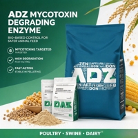 Additif Alimentaire Liant les Mycotoxines, Enzymes Alimentaires pour Protéger la Santé du Foie et de l'Intestin des Animaux