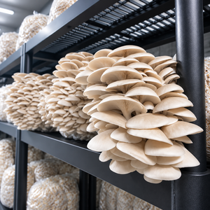 Contenedor Apilable para Cultivo de Hongos con Drenaje por Gravedad, Dispositivo de Ventilación Temporizada y Aislamiento Total - Product Image 4
