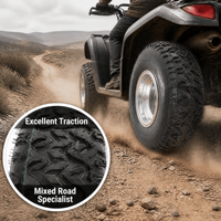 Juego de Ruedas de Goma 15x6.00-6 con Llanta, Neumáticos Todoterreno Resistentes al Desgaste para Carrito de Golf y UTV