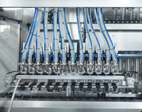 Automatische industriële productielijn voor het vullen van wortelgroentensap met 304 roestvrij staal, hoge efficiëntie, commercieel gebruik