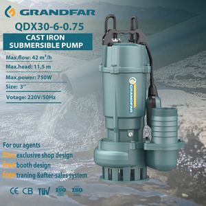 Pompe monophasée Grandfar 1HP 700L/min, haute étanchéité, moteur en fonte et cuivre, submersible pour eau propre QDX30-6-0.75 - Product Image 1