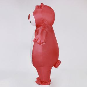 Детский надувной костюм - Product Image 3