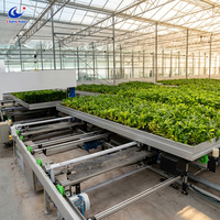 Table de culture mobile haute capacité ChenChao en acier galvanisé, système hydroponique pour l'agriculture verticale – Offre spéciale