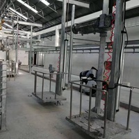 Équipement d'abattage de bétail pour abattoir, machine de transformation de la viande pour abattoir de bovins