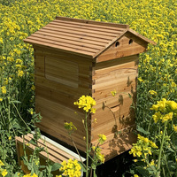 Ruche automatique à prix d'usine OEM et 7 cadres automatiques Ruche d'abeilles auto-automatique enduite de cire de sapin de Chine