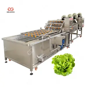 Industriële Sla Wasmachine Voor Het Wassen Van Fruit En Groente