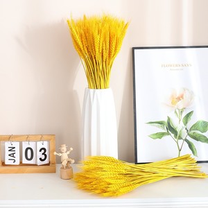 Ramo de Flores Secas de Trigo Dorado, 100 Tallos de 45-50 cm, Decoración para Bodas, Accesorios para Fotografía en Exteriores, Adorno para el Hogar - Product Image 4