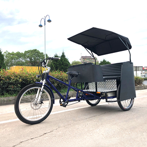 Nuovo Modello di Risciò Elettrico, Pedicab Ester con Display LCD - Product Image 3