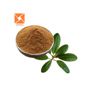 Wholesale High Quality <strong>Chinese</strong> Plant Natural Loquat Leaf Loquat Leaf <strong>Extract</strong> <strong>Powder</strong> - Product Image 2