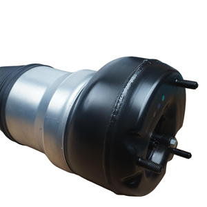 Amortiguadores de Suspensión Neumática Delanteros Izquierdos 2223204713 Compatibles con Benz W222*2WD S300/S320 S350/S400 S500/S600/S63 2223200113 - Product Image 4