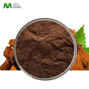 Water Soluble Organic Siberian Chaga 30 1 Mushroom Herbal Polysaccharide Powder Chaga Mushroom Extract Powder