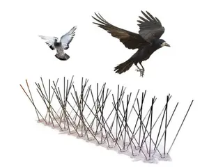 Goede Prijs Zuinige Effectieve Afschrikking Outdoor Eenvoudige Installatie Muur Piek Voorkomen Kat Anti Vogel Piek