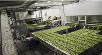 Ligne de traitement automatique de la purée de pomme avec pasteurisateur pour fruits et légumes Usine de production complète
