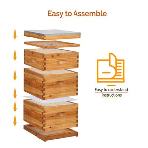 Hot Sale Wax Coated Wooden Bee Hive Boxes Complete Langstroth Beehive 10 <b>Frames</b> - Product Image 5