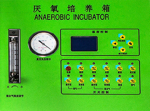 Incubateur anaérobie <span class=keywords><strong>de</strong></span> laboratoire <span class=keywords><strong>de</strong></span> marque TMAX, <span class=keywords><strong>chambre</strong></span> environnementale pour la <span class=keywords><strong>culture</strong></span> des bactéries - Product Image 6