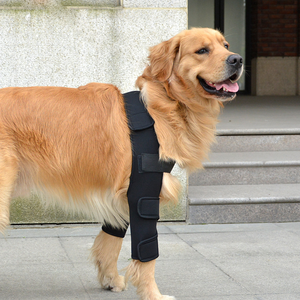 Arnés personalizado para el cuidado de las heridas en las piernas, rodillera para perros, ayuda a los perros con cojeras - Product Image 1