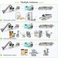Chaîne de production complète Weifang à entraînement par chaîne entièrement automatique pour l'épluchage des gousses d'ail, ligne de traitement, usine de production