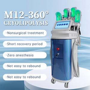 Máquina de Adelgazamiento Corporal de Última Generación, Dispositivo para Disolver Grasa, Equipo de Belleza con Pantalla de 12.1 Pulgadas - Product Image 2