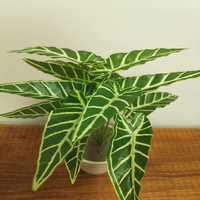 Plantes artificielles en gros, petites branches en plastique, verdure paysagère, décoration pour la maison et le bureau