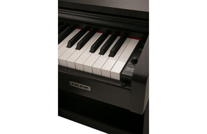 Vertical 88 touches Nux piano numérique instrument <span class=keywords><strong>de</strong></span> musique piano <span class=keywords><strong>de</strong></span> Vignes musique - Product Image 5