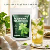 Sachets de Tisane Menthe Fraîche 10 Sachets Sans Sucre Pour le Matin, les Réunions au Bureau, la Fraîcheur Quotidienne, la Pause, la Détente Nocturne
