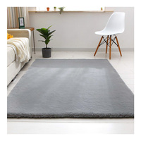 Tapis en peluche super doux, tapis moelleux pour chambre à coucher, enfants, salon, tapis de crèche, décoration intérieure, tapis lavables antidérapants