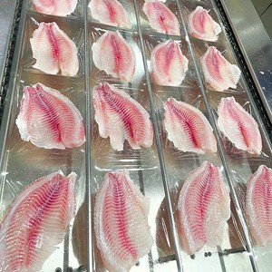 Filet de Tilapia IQF Congelé de Haute Qualité Provenant de Chine, Spécifications de Découpe Standard, Disponible en Vrac - Product Image 2