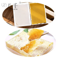 Kit complet de cassette de miel en combles de 500g, 1 cadre en plastique avec 6 boîtes de cassette transparentes, belles boîtes de miel en combles transparentes