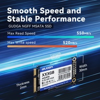 Unidad de Estado Sólido Interna GUDGA MSATA SSD de 256 GB y 6 Gbps, Nueva Memoria Flash NAND 3D, Lectura de 550 MB/s, para Computadora Portátil
