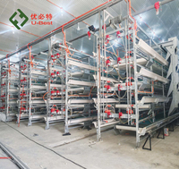 Vente flash : Équipement d'élevage avicole automatique de type batterie pour poulets pondeuses, capacité 10 000 poulets par cage