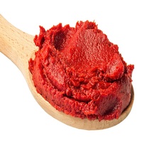 Pâte de tomate de couleur rouge naturelle, à Double concentration, ml, pour la sauce à pizza, similaire à du stock frais